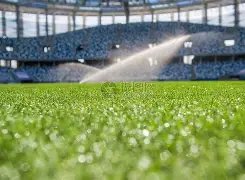 河南队足协,杯决赛意外,认输,云顶娱乐,云顶娱乐官网,云顶娱乐H5官网